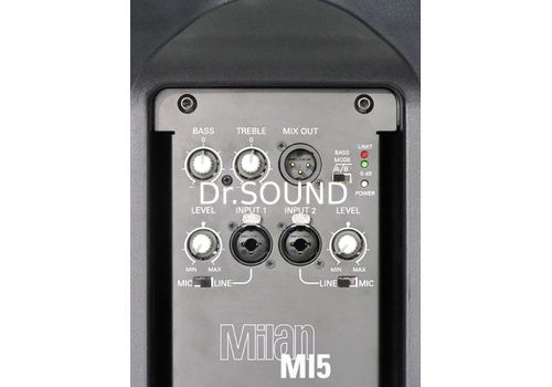 Ремонт Turbosound Milan M15